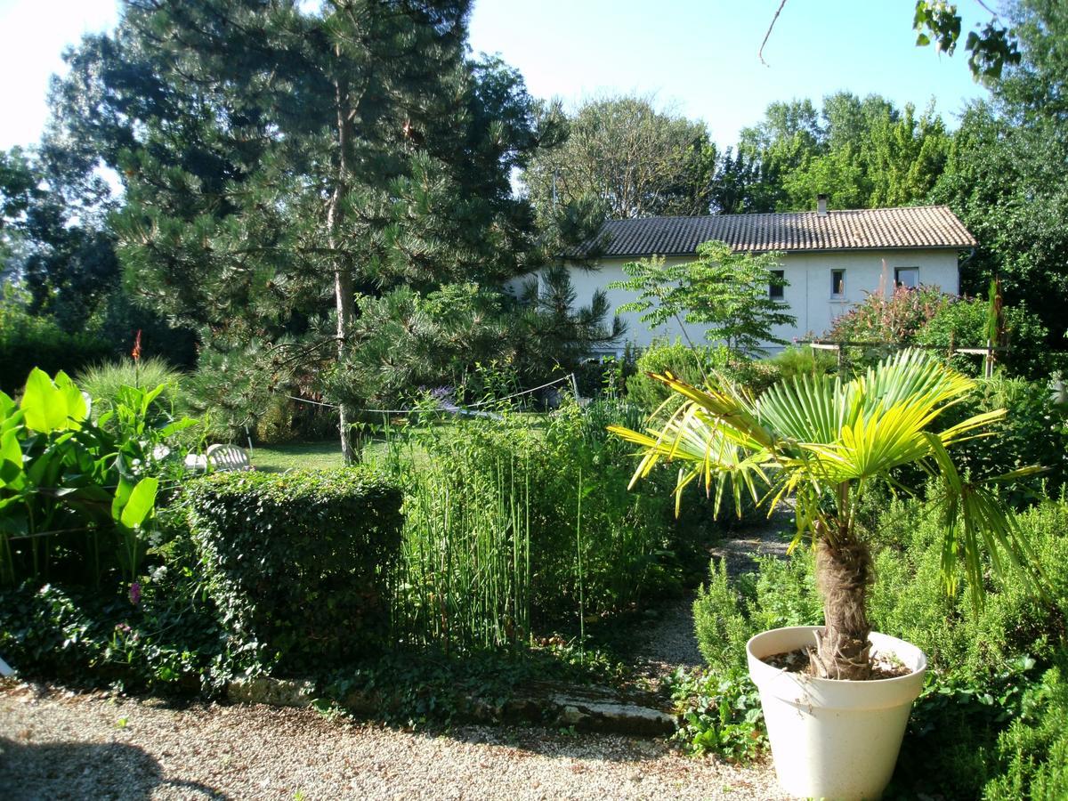 Le Bord De L'Eau Bed and Breakfast Sainte-Terre Εξωτερικό φωτογραφία