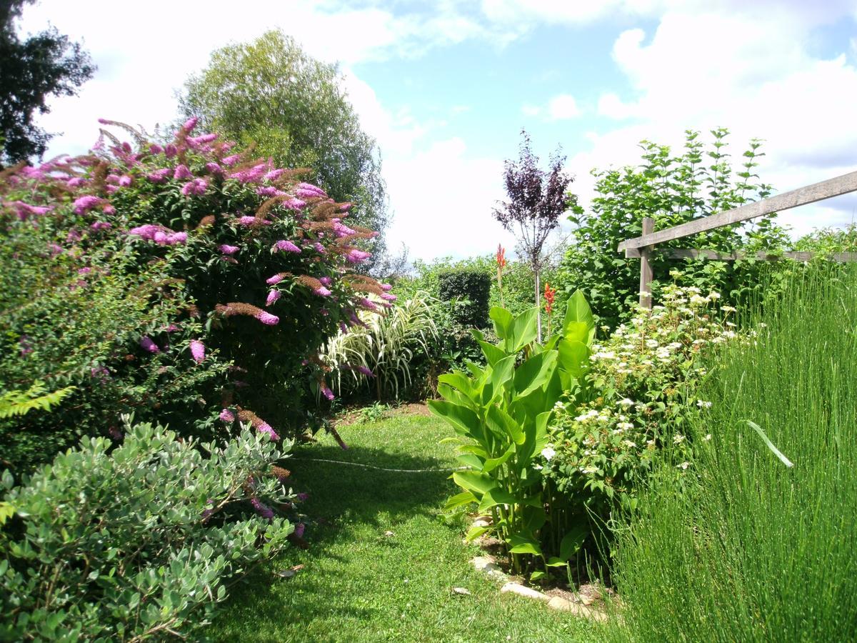 Le Bord De L'Eau Bed and Breakfast Sainte-Terre Εξωτερικό φωτογραφία