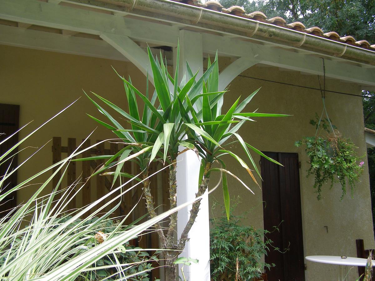 Le Bord De L'Eau Bed and Breakfast Sainte-Terre Εξωτερικό φωτογραφία